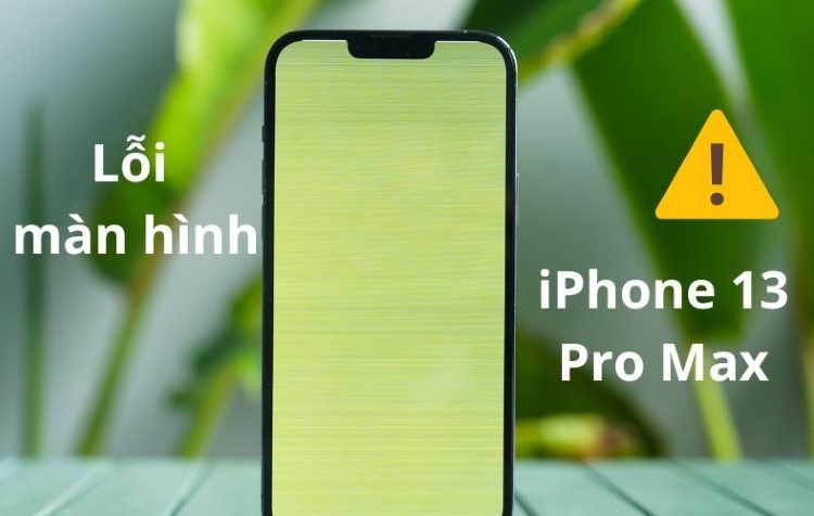 iphone-13-pro-max-loi-man-hinh-2