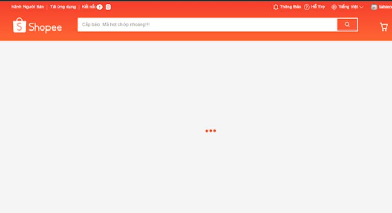 shopee-bi-loi-2
